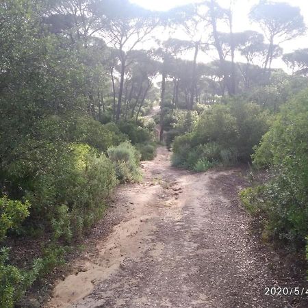 Hinojos Casa Rural Los Pinos المظهر الخارجي الصورة