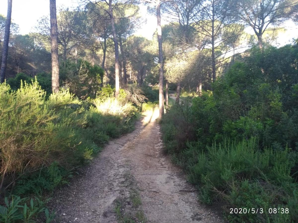 Hinojos Casa Rural Los Pinos المظهر الخارجي الصورة