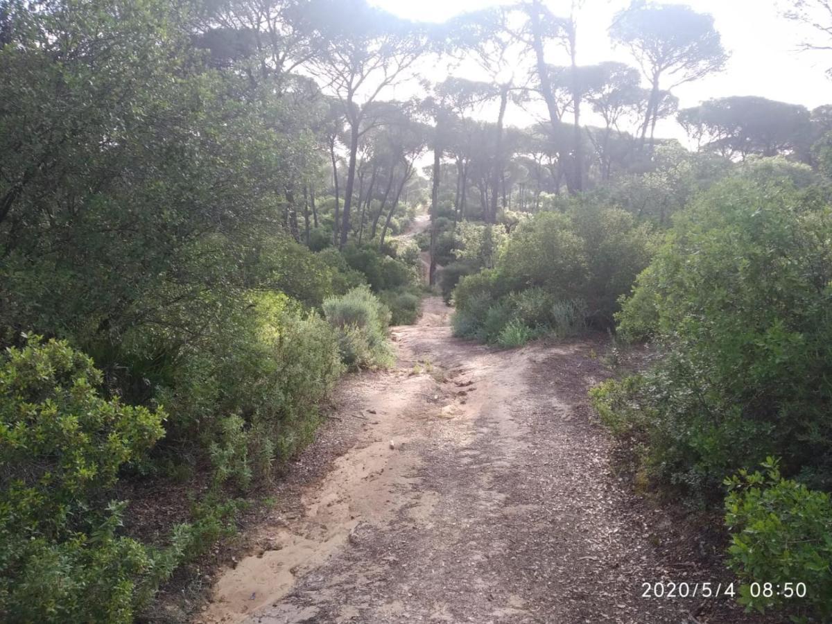 Hinojos Casa Rural Los Pinos المظهر الخارجي الصورة